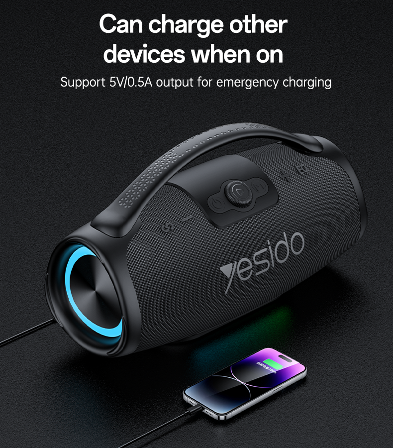 SPEAKER YESIDO YSW45 BlACK