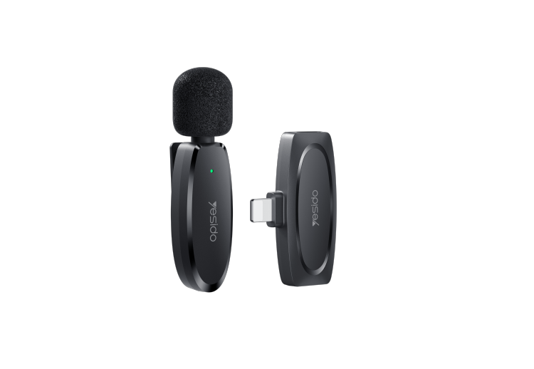 Single Wireless Microphone KR12