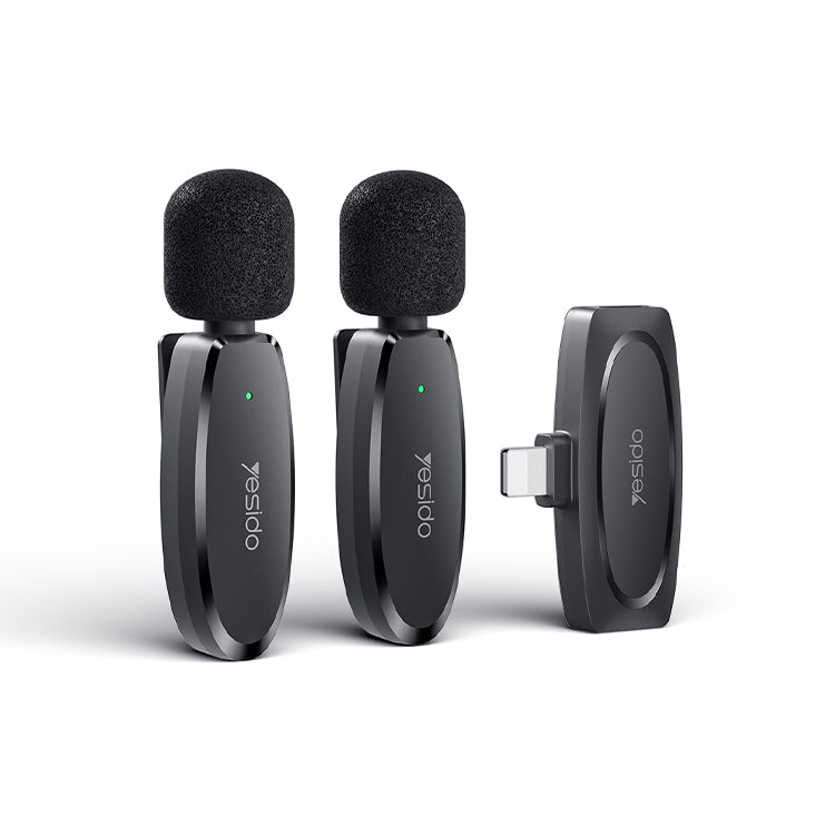 Double Wireless Microphones KR14