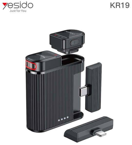 2 in 1 microphone KR19