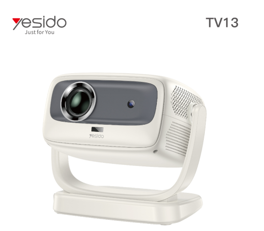 Projector TV13